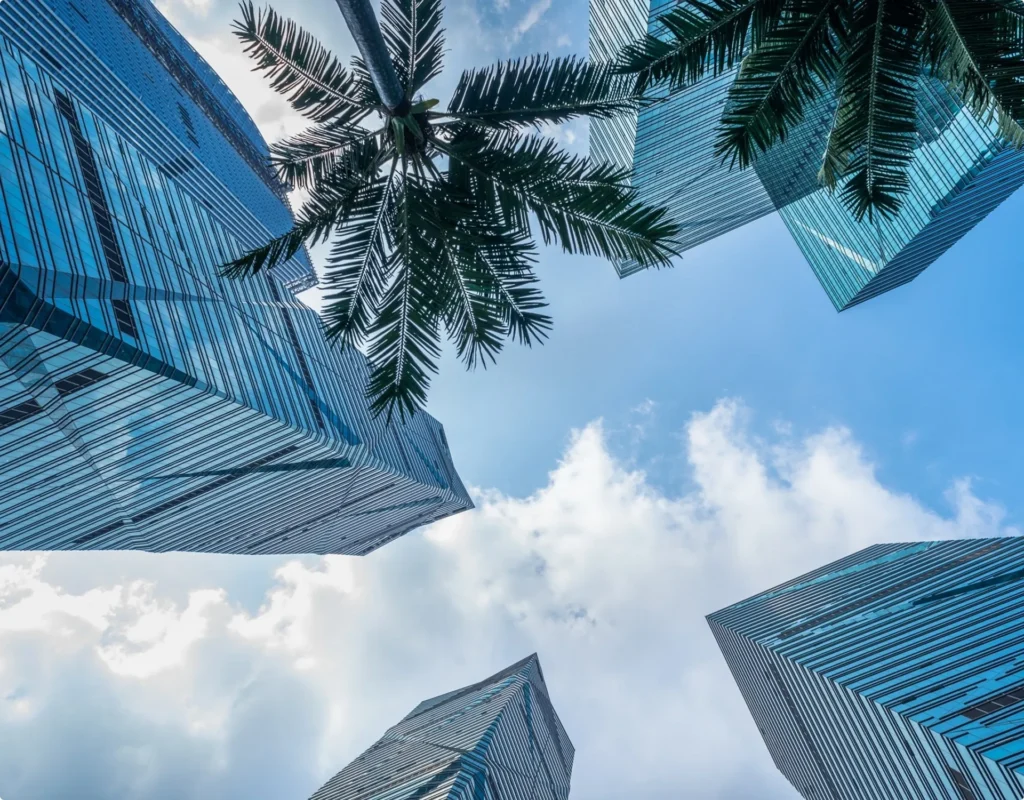 You Missed These 4 Things Before Registering Company in Cyprus