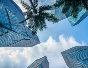 You Missed These 4 Things Before Registering Company in Cyprus